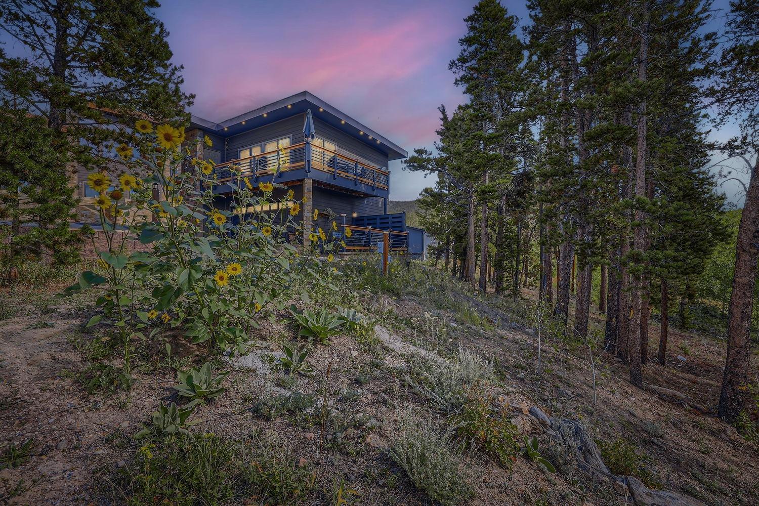 Treehouse 1Br With Hot Tub Home Black Hawk Exterior foto
